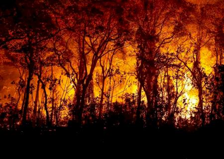 Pantanal tem mais de 3 mil incêndios em novembro, recorde histórico