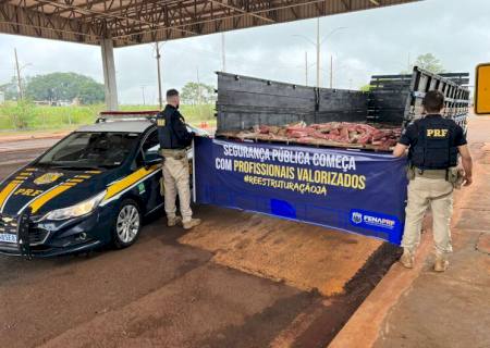 PRF encontra maconha em fundo falso de carroceria de caminhão em Ponta Porã