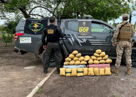 Duas bolivianas são presas pelo DOF com mais de 40 quilos de skunk