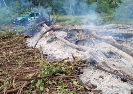 Polícia Ambiental autua infrator por queimar leiras em período proibido