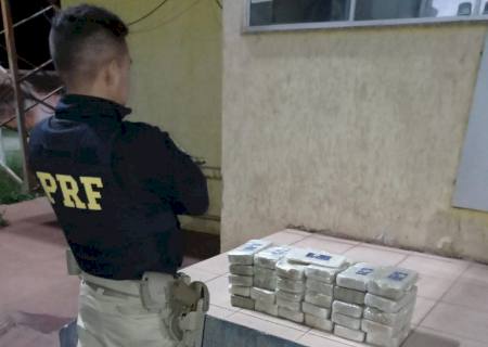 PRF encontra 31 kg de cocaína em meio a sacolas com espigas de milho em MS