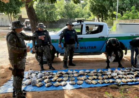 Polícia Ambiental apreende mais de 716 kg de peixe