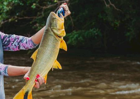 Projeto de João César Mattogrosso amplia por 5 anos a proibição da pesca de Dourado em MS