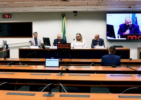 Comissão da Câmara autoriza estados a legislarem sobre armas