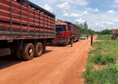 Polícia Ambiental registrou 230 boletins de ocorrência no fim de ano em MS