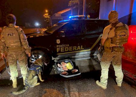 Ação policial prende passageiro de ônibus com mala ''recheada'' de skunk na BR-262