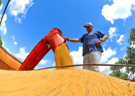 Exportações de MS crescem 17,4% em janeiro com destaque para celulose, soja e minério de ferro