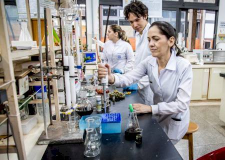 Estudo apoiado pela Fundect gera a 1ª patente do óleo essencial de guavira para uso em cosméticos