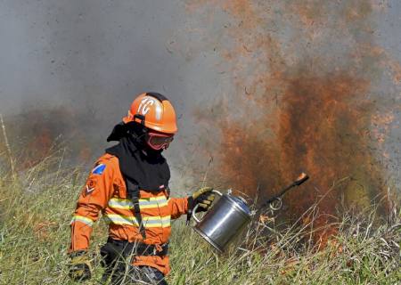 Área queimada no Brasil cresce 248% em relação a janeiro de 2023