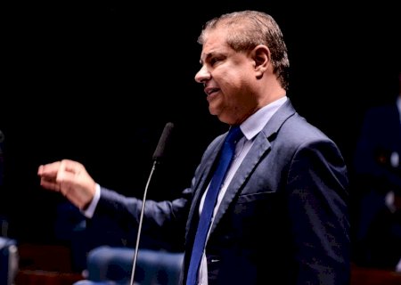 Senador Nelsinho Trad propõe suspensão de salário para servidores públicos investigados por violência doméstica