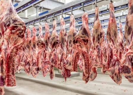 Mais 38 frigoríficos brasileiros podem exportar carnes para a China