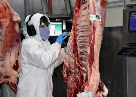 China vai comprar carne de mais cinco frigoríficos de MS e medida permite melhoria de preço interno