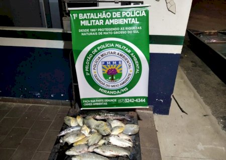 Pescadores foram presos com pescado abaixo da medida e usando equipamento proibido em MS