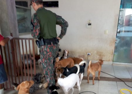 Polícia Ambiental aplica multa de R$ 175 mil a ONG de Campo Grande por maus-tratos