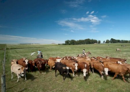 Subsídios da UE favorecem pecuária em detrimento da agricultura