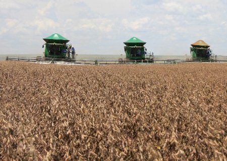 Produtores de MS com perdas na safra podem renegociar dívidas do crédito rural para investimentos