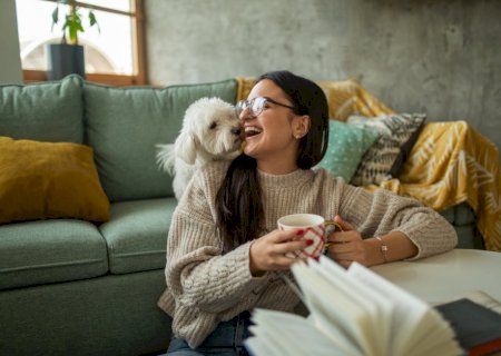 Cuidados essenciais para a saúde dos seus pets no outono