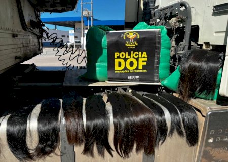 DOF apreende 115 kg de cabelo humano avaliado em mais de R$ 1 milhão