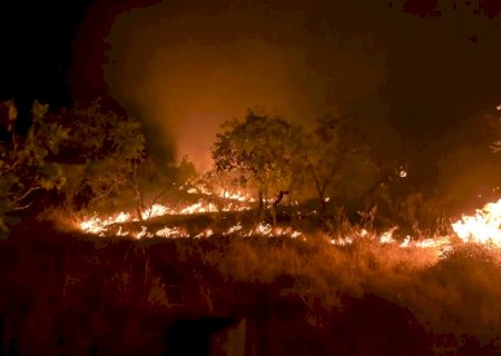 Amazônia: incêndio em área de floresta madura cresceu 152% em 2023