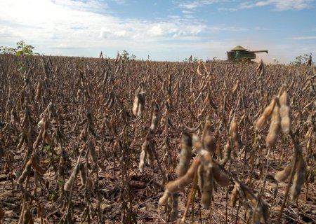 Valor Bruto da Produção Agropecuária sofre queda em março