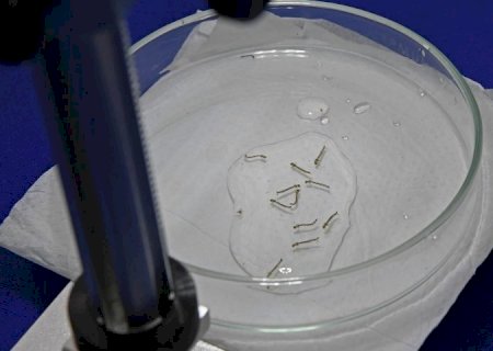 Boletim Epidemiológico: MS registra 5.049 casos confirmados de dengue em 2024