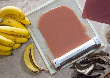 Pesquisadores transformam cascas de banana em embalagens de alimentos
