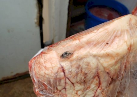 Decon apreende 850 kg de alimentos impróprios para consumo em Bataguassu