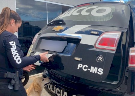 Em Campo Grande, Dracco prende foragido da Justiça de São Paulo