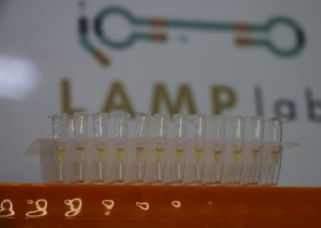 Startup recebe apoio da Fundect e inova com diagnóstico rápido de leishmaniose