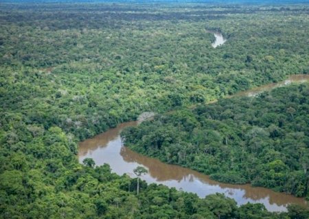 Governo lança programa para combater desmatamento e incêndios na Amazônia