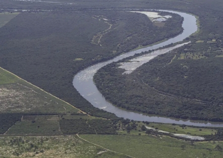 Mata Atlântica: desmatamento cai em áreas contínuas entre 2022 e 2023