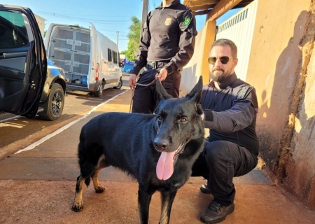 Polícia Civil deflagra operação contra o tráfico de drogas e organização criminosa em Brasilândia