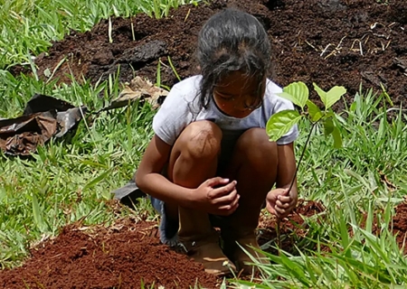 Estudo revela efetividade das ações de conservação ambiental