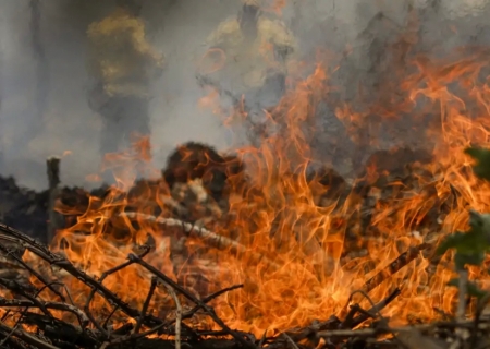 Quase 1/4 do território brasileiro pegou fogo nos últimos 40 anos