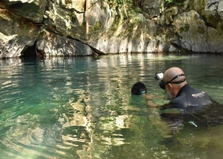 Cascudo criticamente ameaçado de extinção é avistado em caverna de Bonito após 20 anos