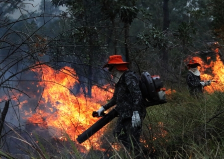 Sob coordenação dos bombeiros de MS, Força Nacional já atua no combate ao fogo no Pantanal