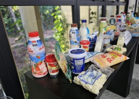 Governo de Mato Grosso do Sul elabora plano de fomento à cadeia produtiva da pecuária leiteira