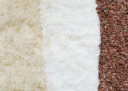 Governo Federal decide anular leilão que importou 263 mil toneladas de arroz