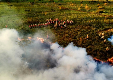Treinamento de combate ao fogo qualifica novos soldados dos Bombeiros para atuar em incêndios florestais