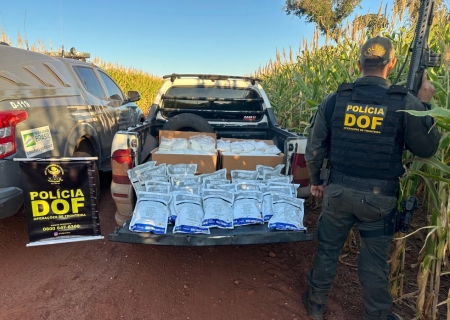 Defensivos agrícolas avaliados em mais de R$ 100 mil são apreendidos em Ponta Porã