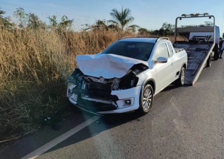 Saveiro colide com anta na MS-395 em Brasilândia