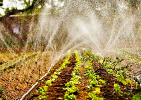 Com 80 mil famílias, MS contempla agricultura familiar com projetos inclusivos e inovadores