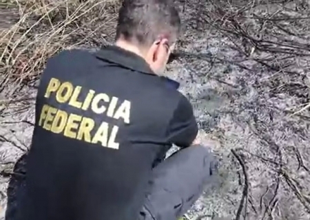 Destruição do bioma: Ação humana causou incêndio em 30 áreas do Pantanal, apontam PF e Ibama