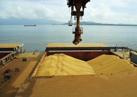 Exportações de soja do Brasil devem crescer 10% em 2025