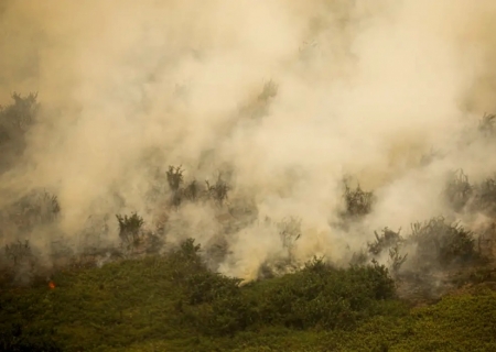 Pantanal tem este ano maior área queimada em junho