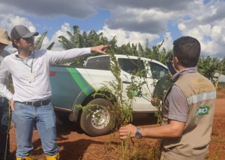 Governo de MS publica abertura de concurso da Iagro com 29 vagas para médico veterinário