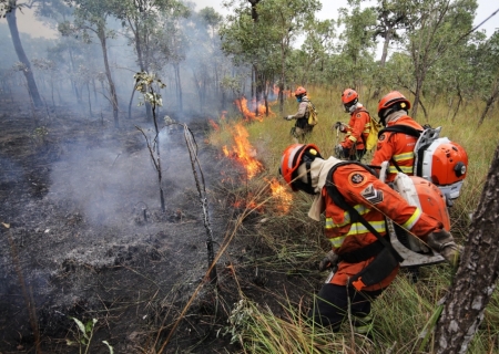 Focos de incêndio no Pantanal estão sob investigação da PF, diz Marina