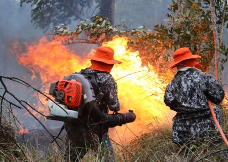 12 fazendeiros serão investigados por focos de incêndio no Pantanal