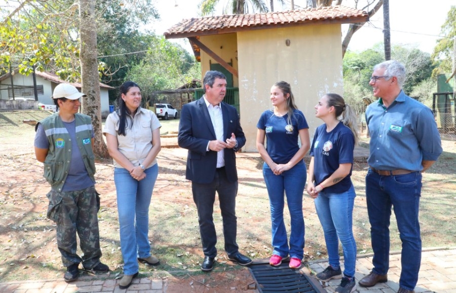 Com tratamento específico, onças-pintadas se recuperam e Miranda pode voltar à natureza em 30 dias
