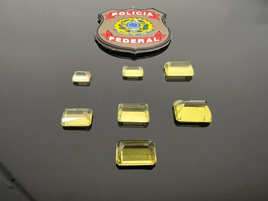 PF deflagra operação contra crimes ambientais em MS e MT